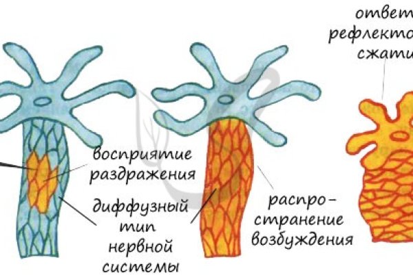 Kraken 9 at клиар ссылка