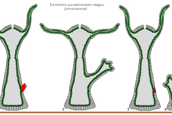 Ссылки мега кракен