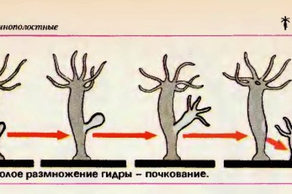 Кракен онлайн магазин