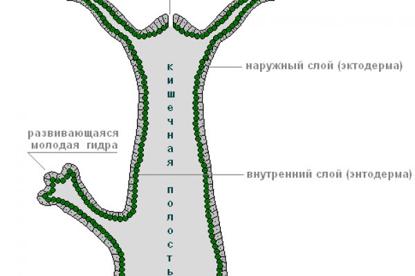 Рабочий сайт kraken