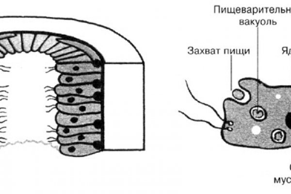 Можно вывести деньги с кракена