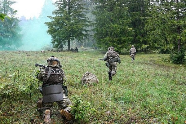 Заказать даркнет